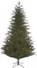 Black Box Trees kerstboom Frasier(h185 x Ø124 cm ) online kopen