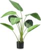 Leen Bakker Strelitzia tak groen 116 cm online kopen