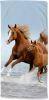Good morning Strandlaken Free Motief paarden, droogt snel, kinderen(1 stuk ) online kopen