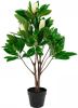 House Nordic Kunstplant Magnolia 90 cm groen online kopen
