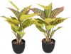 Kopu ® 2 stuks Kunstplant Croton 35 cm 14 bladeren in zwarte pot online kopen