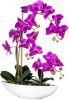Kopu ® Kunstbloem Orchidee 60 cm Roze met Schaal Ovaal Phalaenopsis online kopen