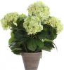 Shoppartners Lichtgroene Hydrangea/hortensia Kunstplant 45 Cm In Grijze Pot Kunstplanten/nepplanten online kopen