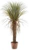 Wants&Needs Plants Kunstplant Yucca Wild 110cm online kopen