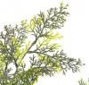VidaXL Kunstplant met pot cipresboom 150 cm groen online kopen