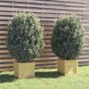 VidaXL Plantenbakken 2 st 40x40x40 cm massief grenenhout online kopen