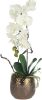 KLiNGEL Bloemstuk Orchidee Wit online kopen