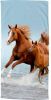 Good morning Strandlaken Free Motief paarden, droogt snel, kinderen(1 stuk ) online kopen
