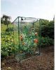 Nature Tomatenkas 100x50x150 cm online kopen