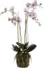 Emerald Kunstplant orchidee met mos lichtroze 419149 online kopen