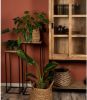 HSM Collection Plantenstandaard mangohout/ijzer set van 2 online kopen