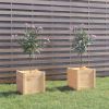 VidaXL Plantenbakken 2 st 40x40x40 cm massief grenenhout online kopen