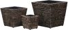 VIDAXL Plantenbakken verhoogd 3 st waterhyacint bruin online kopen