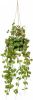 Emerald Kunstplant hangend in pot lantaarnplant 50 cm online kopen