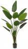 Wants&Needs Plants Kunstplant Strelitzia Groen 190cm online kopen