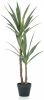 Wants&Needs Plants Kunstplant Yucca 110cm online kopen